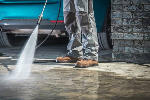 Best Winterizing Services  in Stockton, IL