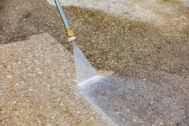 Animal Enclosure Cleaning in Stockton, IL